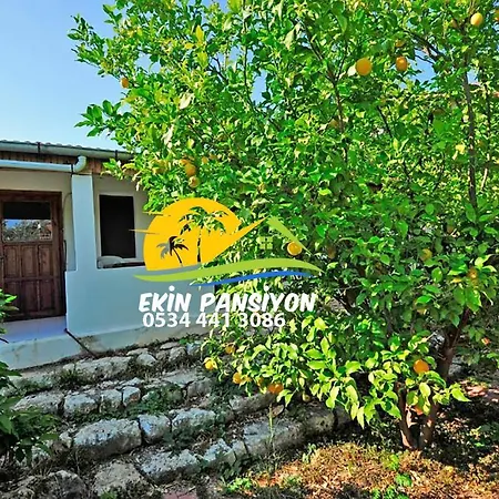 Ekin Kekova ホームステイ